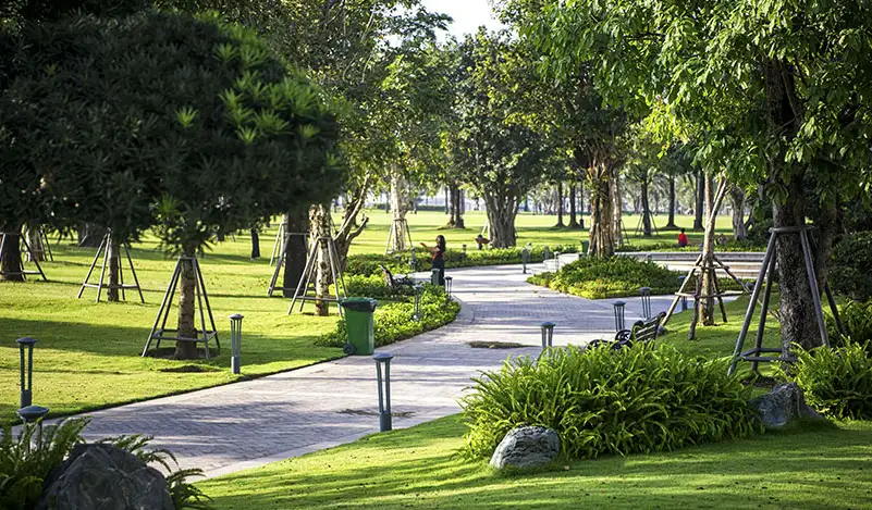 Môi trường sống xanh tại phường Bồng Sơn