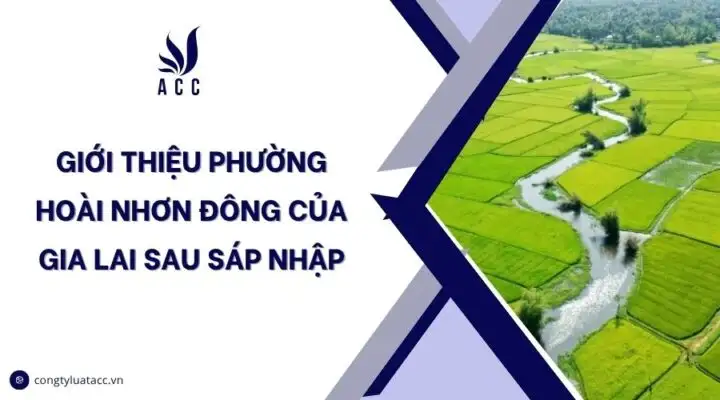 Các tiện ích và dịch vụ tại phường Hoài Nhơn Đông tỉnh Gia Lai