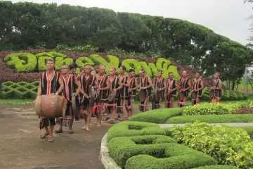 Cư dân tại phường Hoài Nhơn Tây có thể tận hưởng không gian xanh và trong lành