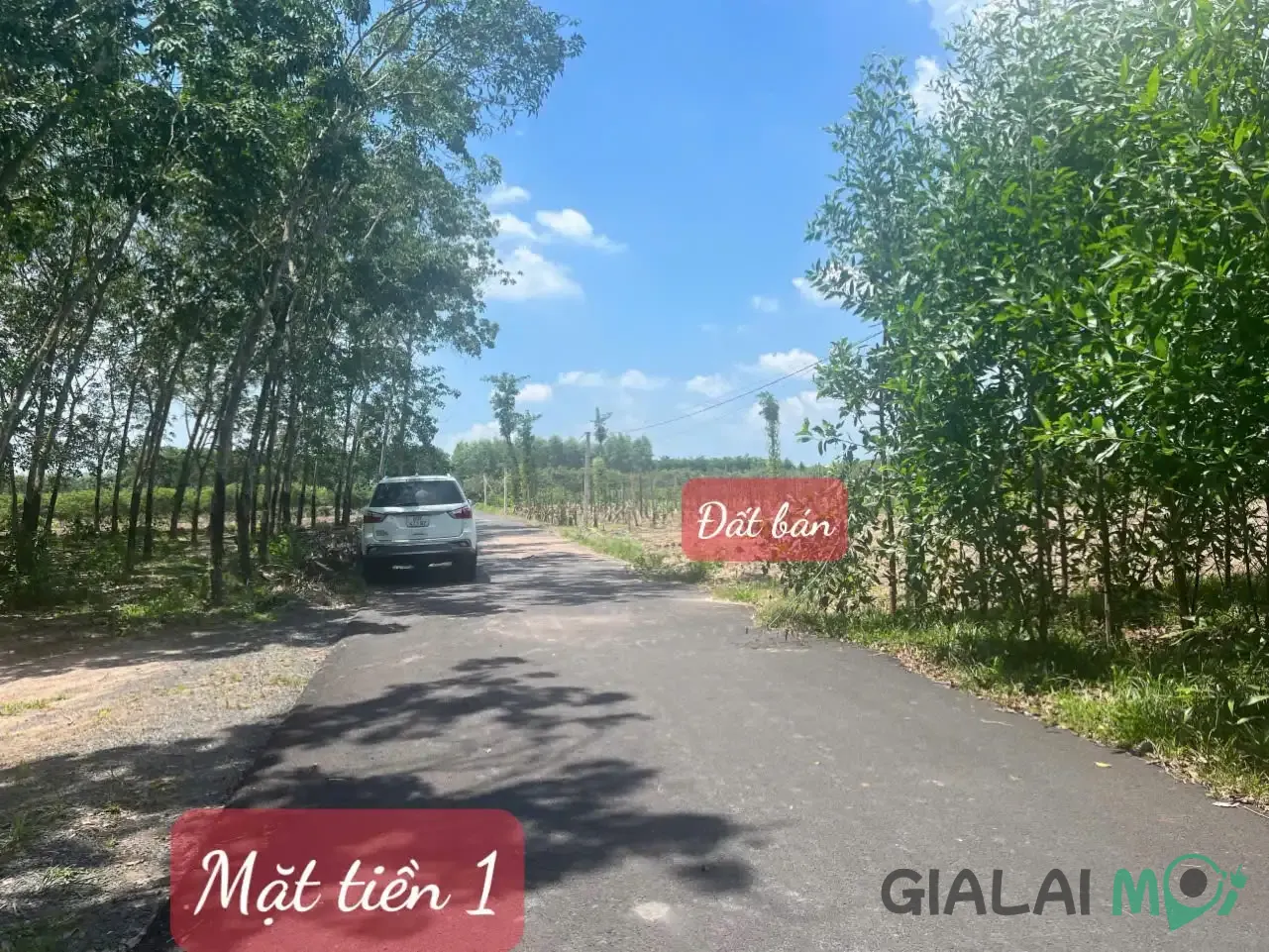 Thị trường bất động sản tại xã Hòa Hội đang phát triển nhanh chóng